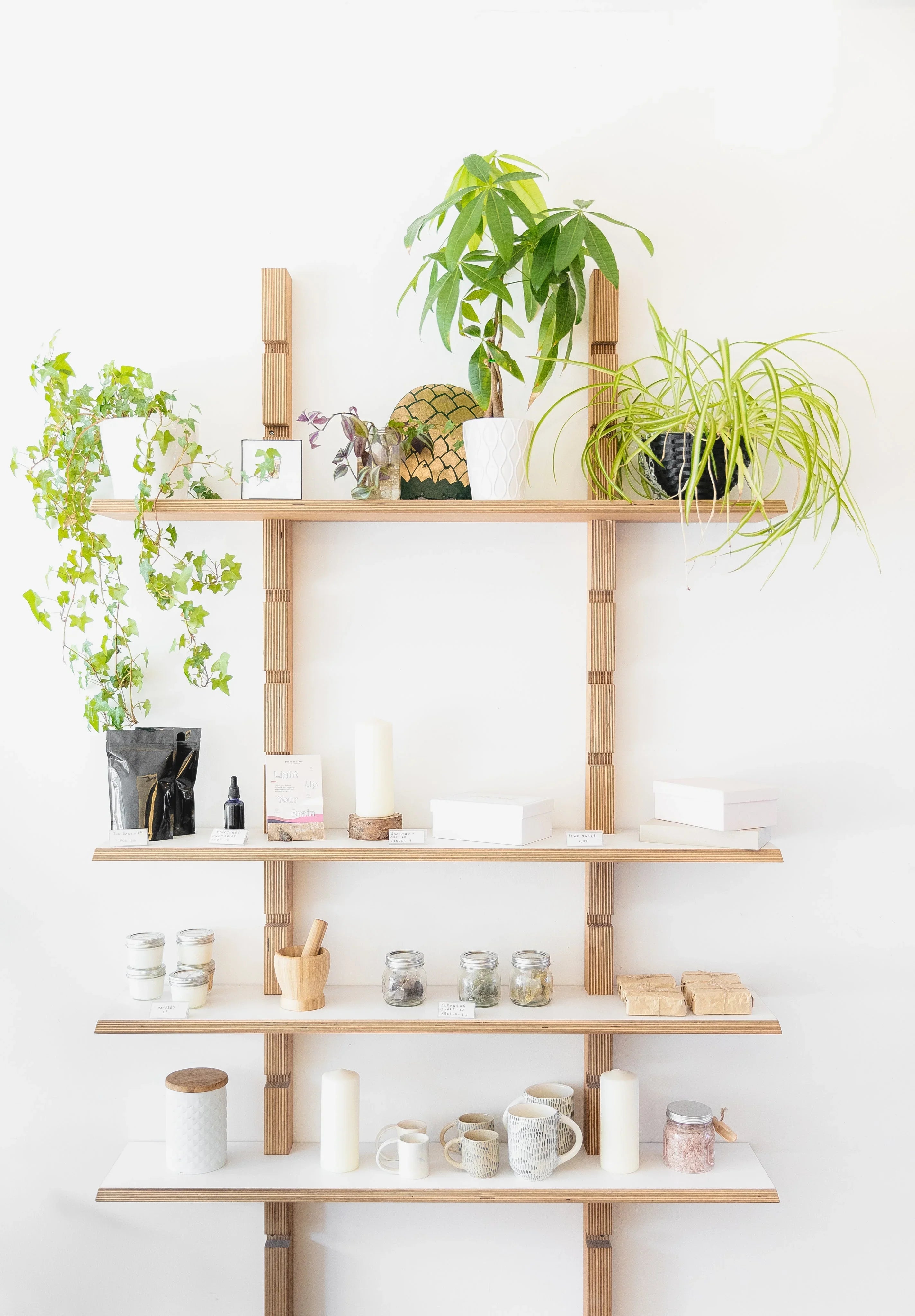 All Products - ROSEVEIL